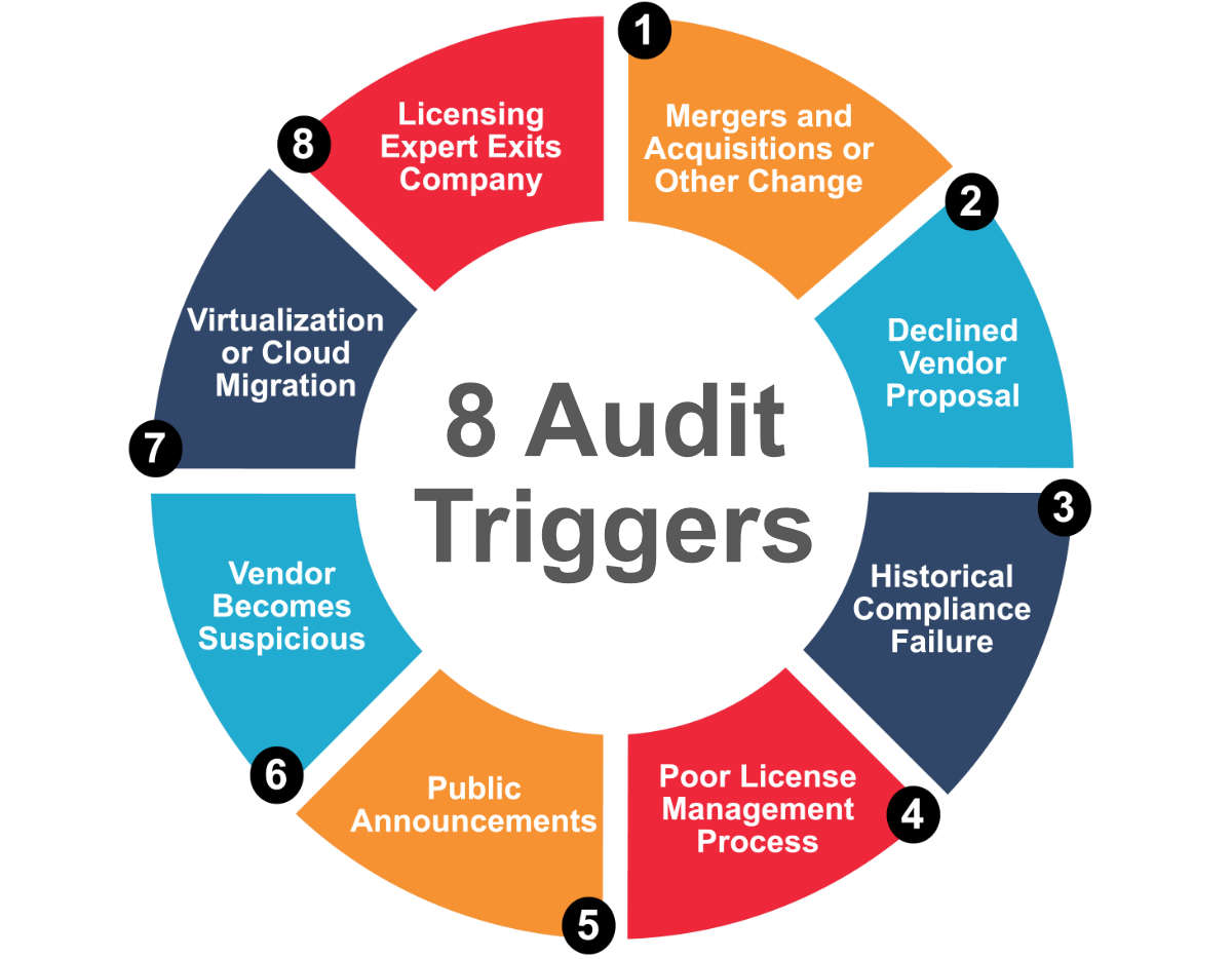 BLC Software Audit Services